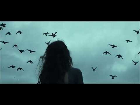 Placebo Shout New