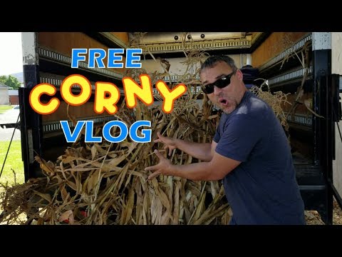 best-halloween-haul-|-free-stuff-for-making-diy-halloween-decorations-&-props