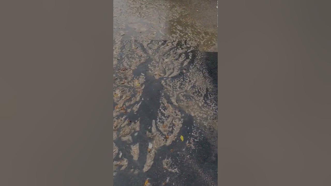 SEWAGE pours out of drains on new build estate… 🤢