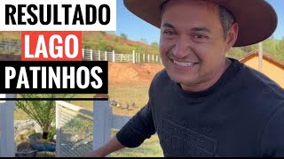 TERMINAMOS O LAGUINHO DOS PATOS. Resolvemos o problema da fuga dos coelhos by Aventuras de Guto 203,901 views 2 weeks ago 30 minutes