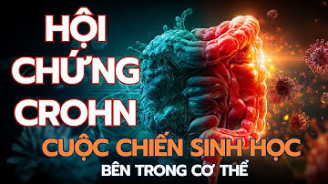 Khi Hệ Miễn Dịch "Tấn Công" Đường Ruột - Bí Ẩn Hội Chứng Crohn