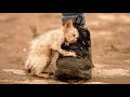 25 Animal Rescues That Will Make You Cry