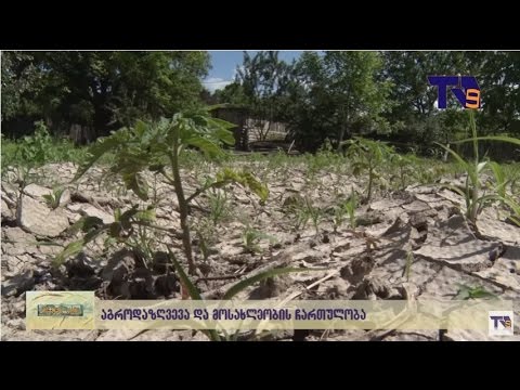 29 ივნისის \"ფერმერის საათის\" ანონსი