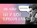 Музфронт: ХТО АВТОР &quot;ОЙ У ЛУЗІ ЧЕРВОНА КАЛИНА&quot;?