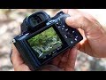 1 AMAZING Tip ALL Sony Alpha Users MUST Know About - (YOU MUST WATCH THIS)