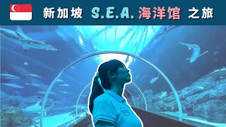 新加坡圣淘沙 SEA Aquarium 之旅 | 带您一起探索神秘的海洋世界！(Resorts World Sentosa | S.E.A. Aquarium Travel Vlog)