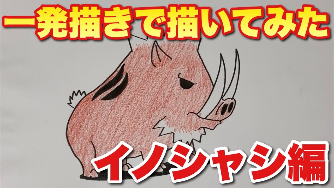Drawing the Great Cat War] Advanced! Inoshashi Edition - YouTube