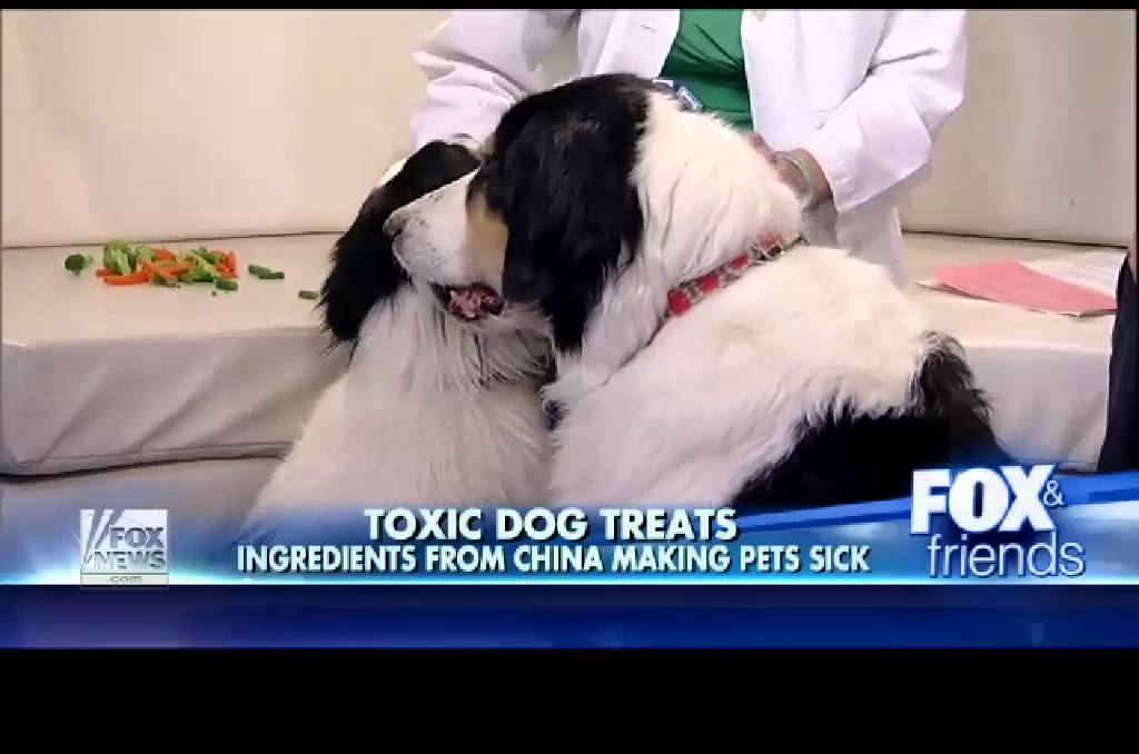 Fox News Jerky Treats Kill 1,000 Dogs YouTube
