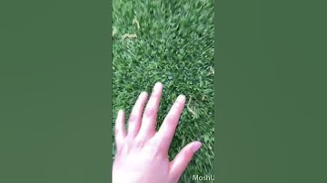 Day 14 of making ugly transitions #foryou #trending #viral #shorts #short #fyp