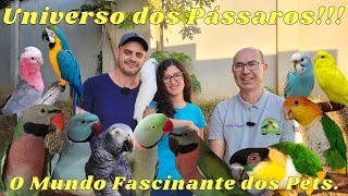 UNIVERSO DOS PÁSSAROS A MAIOR VARIEDADE DE AVES PETS DO BRASIL!!!
