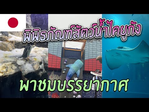 jp vlog #5 พาชมบรรยากาศไคยูคัง โอซาก้า !! สวยงามมั้กๆ | Osaka Aquarium KAIYUKAN