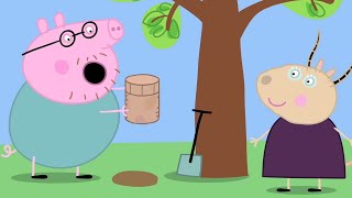Peppa Pig Official Channel The Time Capsule Cartoons For Kids Peppa Toys