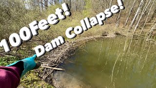 Insane Beaver Dam Removal!