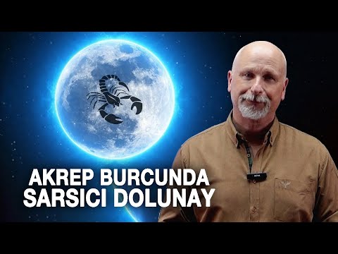 AKREP BURCUNDA SARSICI