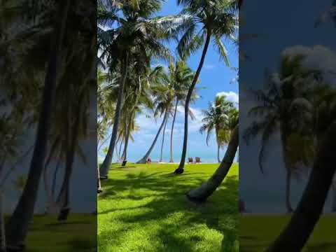 سلسلة الجزر المرجانية الخلابة رأيكم فيها جميع المعلومات عن كل فيديو تجدونها في صندوق الوص