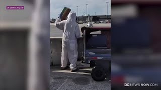 BWI removes around 20k bees from airport