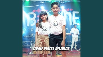 JAMU PEGEL MLARAT (feat. ALYN WILONA)