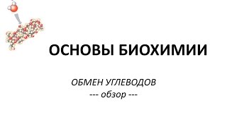 видео Биохимические основы питания