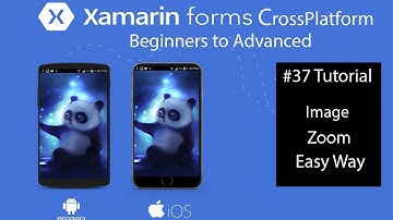Xamarin Forms Image Zoom[Tutorial 37]