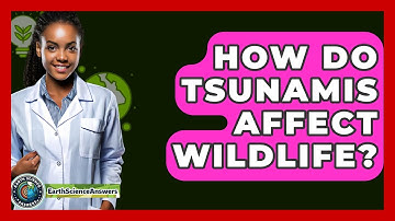 How Do Tsunamis Affect Wildlife? - Earth Science Answers