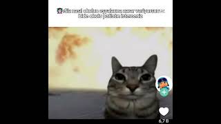 #kesfetteyiz  #keşfetedüş  #youtubeshorts  #kesfet  #keşfetbeniöneçıkar  #komikvideo  #100likes