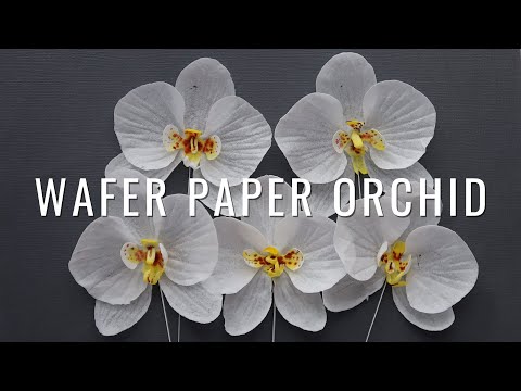 Video: Paano Makagawa Ng Isang Corrugated Paper Orchid