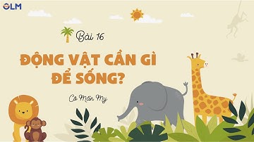 Bài 16. Động vật cần gì để sống? (phần 1) - Khoa học 4 - KNTTVCS - OLM.VN