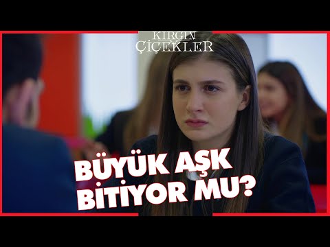 Kırgın Çiçekler Özel Kısa Bölümler | 209