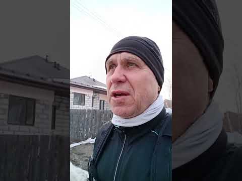 Избыточный вес #shorhs