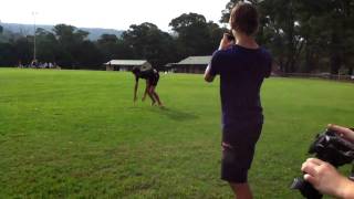 Flips and shiz  || Parkour test