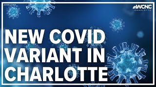 New COVID-19 variant detected in Mecklenburg County