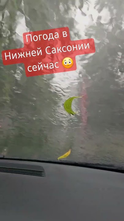 Погода в Нижней Саксонии сейчас #жизньвгермании #Niedersachsen - YouTube