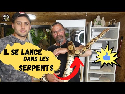 Vidéo: Récapitulatif Des Offres De Gelée: Bons Amazon, Nouvel Ensemble Humble, Statues De Serpent Solide Et Plus