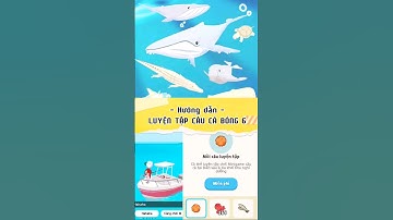 Hướng dẫn cách câu cá bóng 6 khổng lồ | Play Together #playtogether #playtogethervng #funny