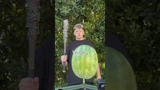 Part 2? #eddiehall #challenge