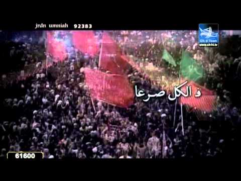 لكي يا كربلاء أداء الرادود تيسير الموالي