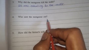 Worksheet Answer the following questions  Class 3 Unit 3 The Loyal Mongoose