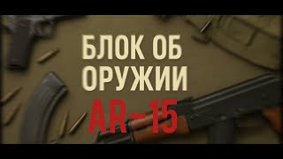 Винтовка AR-15. Функционал, составные части, механизмов, разборка, сборка, обслуживание