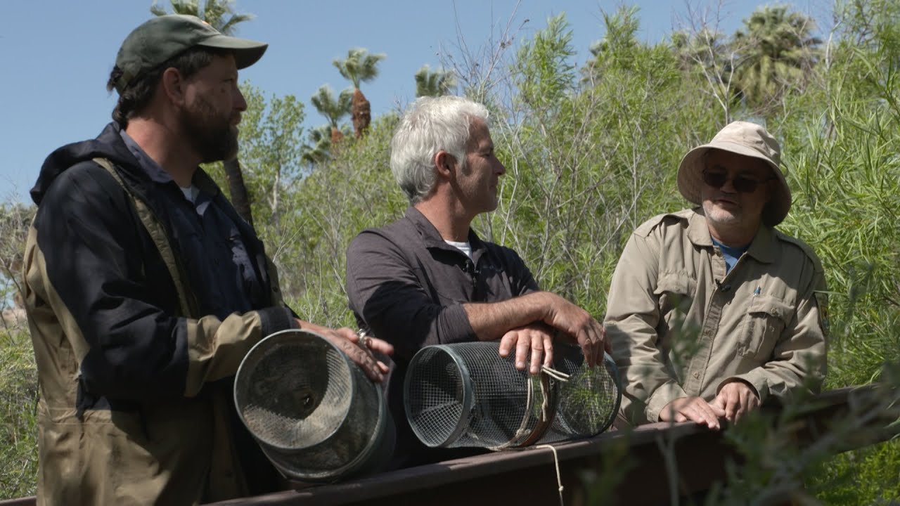 Searching for a Rare Desert Fish in the Muddy River, the Moapa Dace | Outdoor Nevada