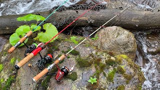 ついに！ 『あの方達』と渓流へ 【北海道 渓流ルアー】 Hokkaido.Mountain Stream Lure Fishing.