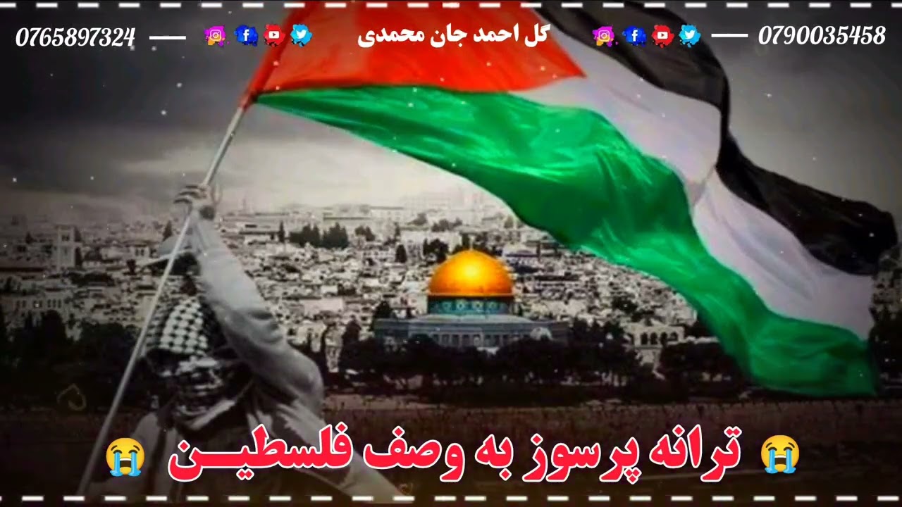 ترانه پرسوز به وصف فلسـ طـین | احساسی بسیار زیبا است بیننده باشید 😭❤🥀