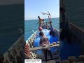 #netfishing #fishing #fisherman #fish #fhis #video