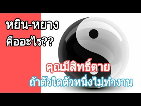 ความสมดุลของภาพ Update New หยินหยางกับความสมดุลของชีวิต,หยินหยางสำคัญกับร่างกายเราอย่างไง07/03/2021