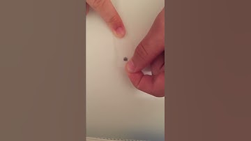 Graphene Sticky Tape Method Video