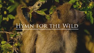 MaMan - Hymn for the Wild (Official Film)
