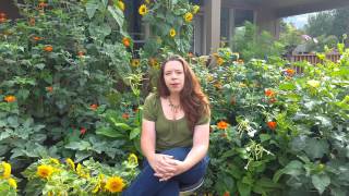 What Are Flower Essences?