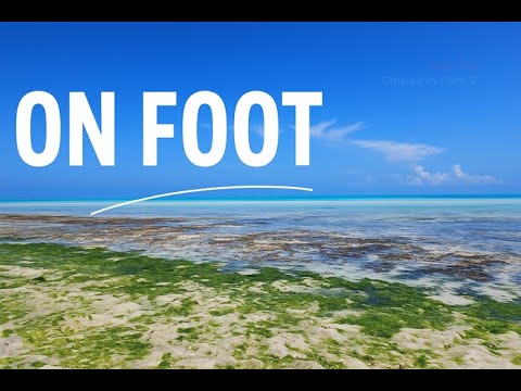 We Walked Across Zanzibar East Coast To Kendwa Nungwi