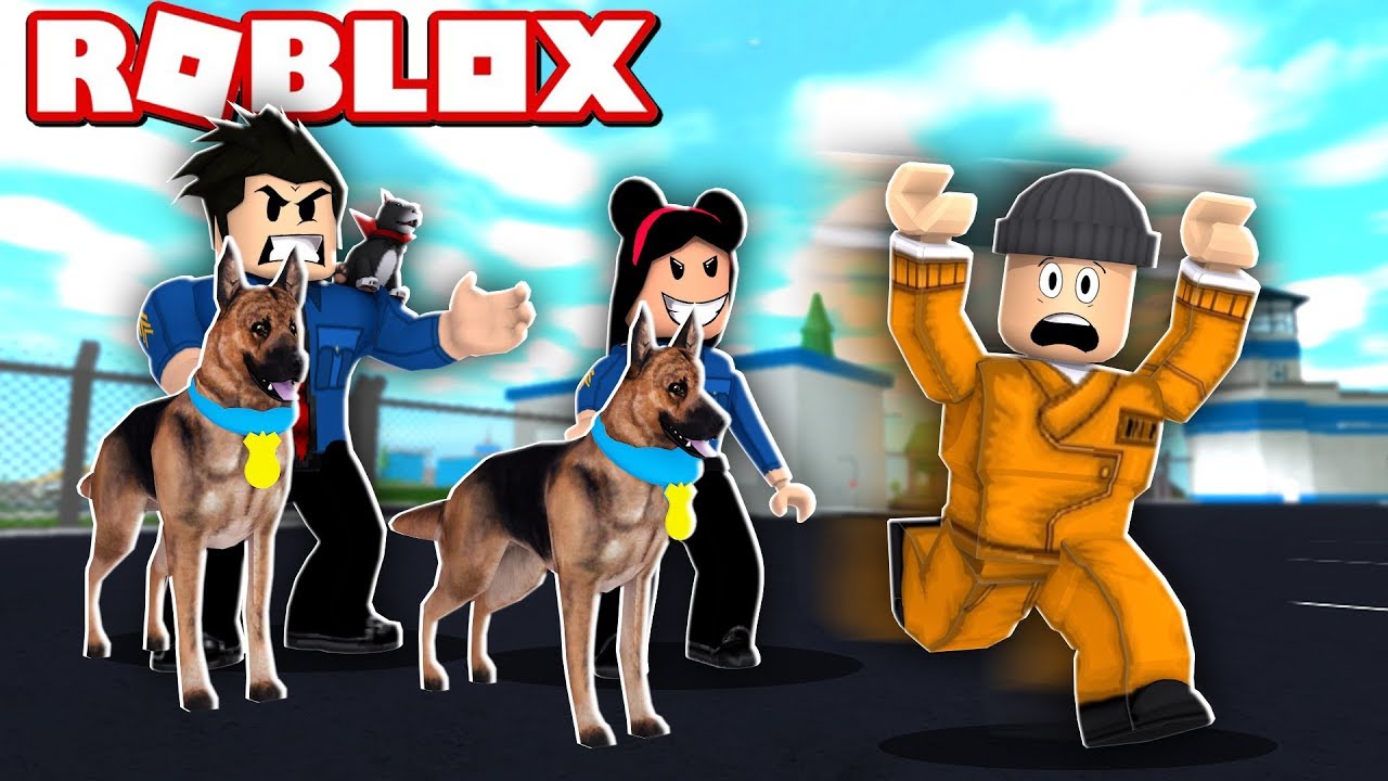 A Turminha Do Lokis Adotou Um Cachorrinho No Mad City Roblox Mad City - super her#U00f3is salvaram a cidade roblox mad city