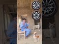 Dog,Cat, bunny, monkey  video vfx #shorts #viralvideo #viral #vfx
