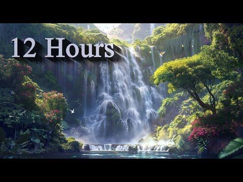 Canon in D 12 Hours